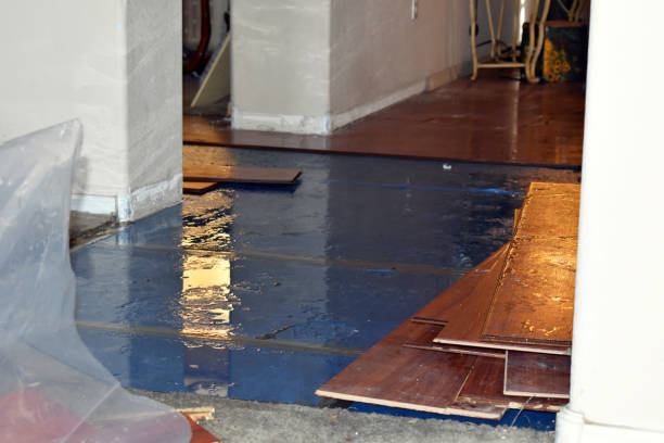 Professional Burst Pipe Cleanup technician working in Clyde, TX